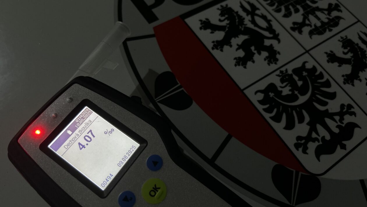 Neobvyklý „nocleh“ uprostřed silnice