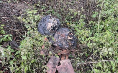 Vyhozené ostatky zvířat