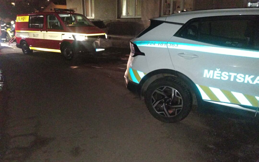 Osoba se zdravotními obtížemi