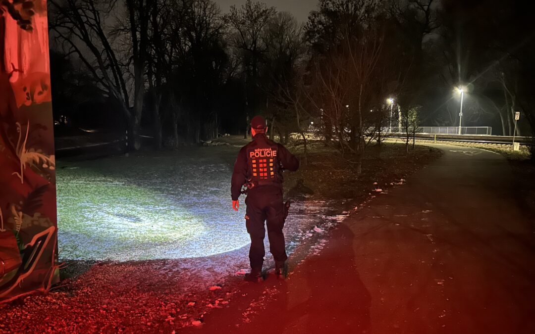 Pátrání po pohřešované osobě