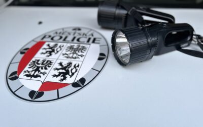 Pátrání po pohřešovaném mladistvém v&nbsp;Kostelecké Lhotě